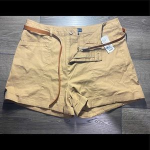 Chocolate Shorts with Brown Belt